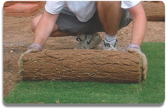 ResoddingAerationImage